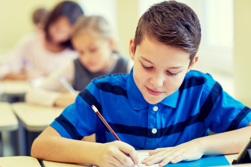 middle school language arts readiness assessment identifying reading and writing gaps